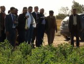 صور.. رئيس جامعة المنيا: نجحنا فى زراعة 320 فدانًا خلال عام