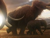 ديناصورات وخنافس وثعابين.. 400 نوع جديد اكتشفهم متحف التاريخ الطبيعى فى 2019
