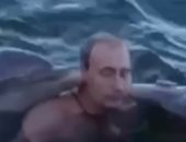 فيديو لبوتين يسبح مع "الدلافين" أثناء زيارته لكوبا.. بمناسبة 20 سنة رئاسة