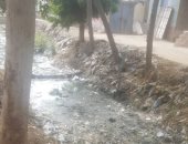 قارئ يشكو من عدم تطهير ترعة قرية قنتير مركز فاقوس بمحافظة الشرقية