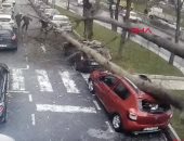 فيديو.. لحظة سقوط شجرة عملاقة على 3 مواطنين وسيارة فى تركيا