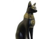 القارئ مينا صلاح يكتب : تحنيط القطط فى مصر القديمة‎
