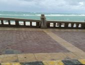 مطار غزيرة على الإسكندرية.. والأجهزة التنفيذية ترفع درجة الاستعداد القصوى