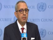 مندوب تونس بمجلس الأمن: سنكون صوت العالم العربى والقارة الأفريقية لحل الأزمات