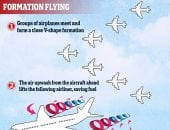 إيرباص تستعد لتسير طائراتها على طريقة سرب الطيور لتقليل الانبعاثات