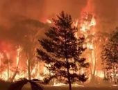 باختصار.. أهم الأخبار العالمية والعربية حتى الـ12 ظهرا.. خلیفة سليمانى: سترون أشلاء الأمريكيين بالشرق الأوسط.. الأمم المتحدة تحذر تركيا من إرسال قوات لليبيا.. الأمن العراقى: القصف الأمريكى الأخير انتهاك للسيادة