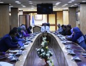 محافظ أسوان يراجع تنفيذ خطة تطوير ورفع كفاءة الطرق