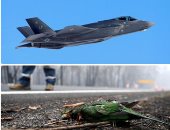 صور.. العالم هذا الصباح..الرئيس الروسى يحضر احتفالات عيد الميلاد وسط محجبات فى كاتدرائية.. تمرين القوة القتالية للقوات الجوية الأمريكية بطائرات F-35A.. ونفوق الطيور بسبب تصاعد حرائق الغابات فى استراليا