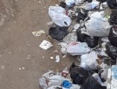شكوى من انتشار القمامة بمنطقة عزبة النخل الغربية