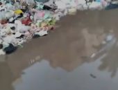 شكوى من انتشار القمامة والأوبئة بمنطقة النخيل بحى العجمى بالإسكندرية