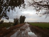 "سيبها علينا".. أهالى قرى مركز دمنهور يعانون من انهيار طريق المحامدة