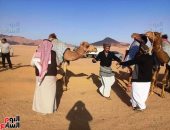 عروض منوعة للجمال ضمن فعاليات مهرجان سباق الهجن بشرم الشيخ