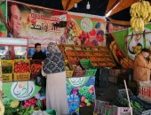 تعرف على أسعار الخضروات والفواكه واللحوم بأسواق محافظة الغربية