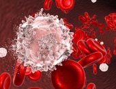تحذير.. انخفاض خلايا الدم اللمفاوية يهدد بزيادة خطر الوفاة