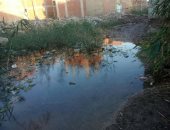 مياه راكده تهدد المنازل.. شكوى سكان شارع الفالوجى بالزقازيق