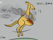 كاريكاتير صحيفة كويتية.. معاناة حيوانات أستراليا مع حرائق الغابات