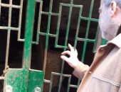 استجابة لمبادرة "سيبها علينا".. التضامن تصل لفتاة دسوق وتنقلها من الشارع