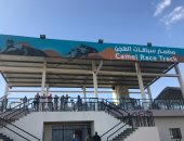 صور.. سائحون يشاركون فى مشاهدة فعاليات سباق الهجن بشرم الشيخ