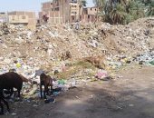 قارئ يشكو انتشار تجمعات القمامة والروائح الكريهة بسوهاج