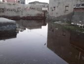 استجابة لـ"سيبها علينا".. محافظ كفر الشيخ يوجه برفع مياه الأمطار ببلطيم