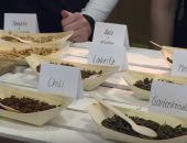 بالهنا والشفا.. وجبة حشرات بمعرض دولى ضمن فعاليات الأسبوع الأخضر.. فيديو