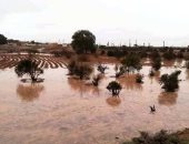 صور.. أمطار الخير تروى الزراعات بالوديان وتملأ خزانات سدود وآبار مطروح