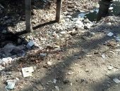 شكوى من تحول ترعة القوصية إلى مقلب للقمامة فى محافظة أسيوط