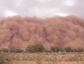 "مش فيلم خيال علمى".. شاهد لحظة هجوم عاصفة رملية على نيو ساوث ويلز الأسترالية