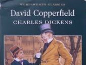 100 رواية عالمية.. دافيد كوبرفيلد لـ تشارلز ديكنز حكايات النجاح بعد الألم