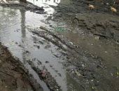 طريق مغطى بالطين وترعة معبأة بالقمامة.. شكوى أهالى قرية جرار محافظة البحيرة