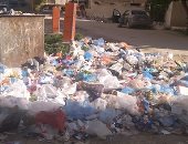 شكوى من انتشار القمامة والأوبئة بمنطقة شاطئ النخيل فى الإسكندرية