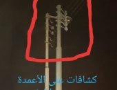 أهالى قرية المركزية بمركز شهاب بالدقهلية يطالبون بإصلاح أعمدة الإنارة