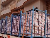 تسليم 40 كرتونة أغذية للأسر المعزولة فى قرية بالشرقية بسبب كورونا 