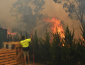 السلطات الأسترالية تعلن التهام الحرائق لـ 14 ألف هكتار بجنوب البلاد