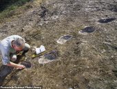 علماء الحفريات يكتشفون حفريات لــ3 أنواع من الديناصورات الطائرة فى المغرب 