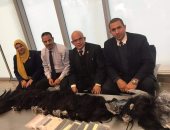 جمارك المطار تحبط محاولة تهريب هواتف محمولة وكمية من الشعر المستعار