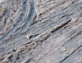 أهالي قرية عزبة الجمل بالمحلة الكبرى يطالبون بشبكة صرف صحى ..صور