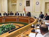 الحكومة: 17 شركة جادة تقدمت بطلبات للاستثمار.. ومدبولى يُكلف بسرعة دراستها 