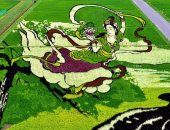 شاهد.. لوحات "فن التامبو" بمحصول الأرز الملون فى اليابان