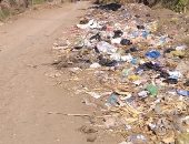 شكوى من انتشار القمامة والأوبئة بقرية مشيرف الباجور بالمنوفية