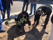 صور.. زراعة أشجار مثمرة ودهان شوارع بمدينة سفاجا ضمن مبادرة "اتحضر للأخضر"