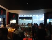 المركز الثقافى الأفريقى بأسوان يستقبل 230 شابا وفتاة من طلاب الجامعات.. صور