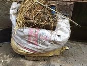 شكوى من وقف رفع القمامة بقرية فزارة فى البحيرة