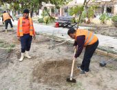 صور.. زراعة أشجار مثمرة ضمن مبادرة "اتحضر للأخضر" ببورسعيد