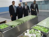 جمارك مطار القاهرة تحبط محاولة تهريب كمية كبيرة من أدوات ومستحضرات التجميل