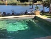فيديو يرصد لحظة اهتزاز حمام سباحة بجزر الكايمان لتأثير زلزال البحر الكاريبى