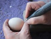 12 ألف ثقب.. فنان يكسر الرقم القياسى لأكثر عدد نقوش على بيضة