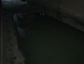 أهالى النبراوى في القليوبية يستغيثون بسبب مستنقعات الصرف الصحى