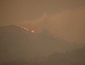 حرائق الغابات تخرج عن السيطرة فى أستراليا وحرق 35 ألف هكتار.. صور