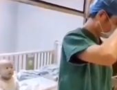 مشهد مؤثر لرضيع صينى مصاب بفيروس كورونا وطبيبه يبكى عليه.. فيديو